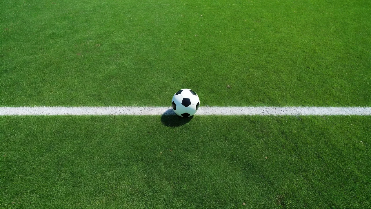 Goal line with a soccer ball half over it, bright top-down detail
