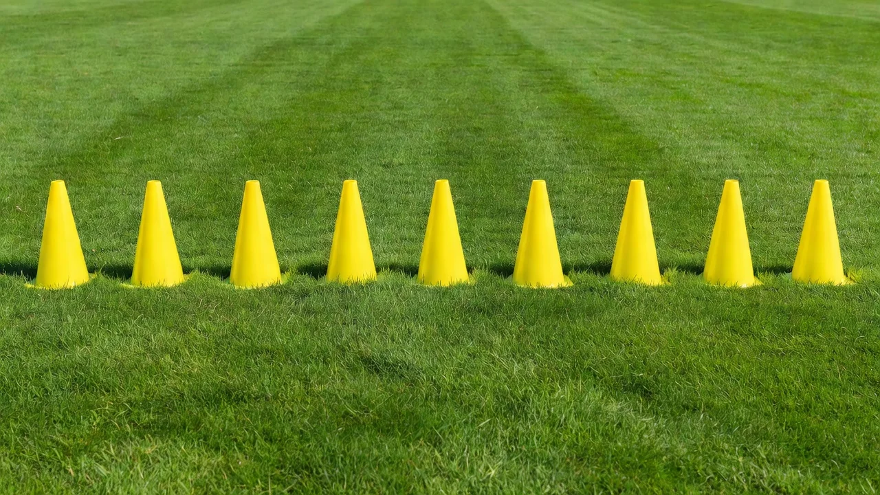 Bright yellow training cones in a neat row on vivid green grass